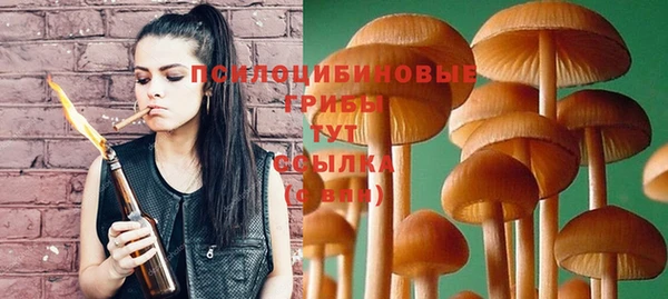 spice Алексин