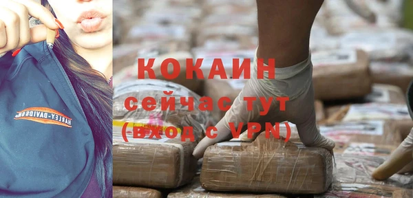 spice Алексин