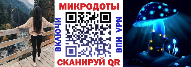 Галлюциногенные грибы Psilocybine cubensis  купить закладку  Могоча 